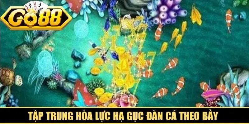 Tập trung hỏa lực hạ gục đàn cá theo bầy mang lại cơ hội thắng cao