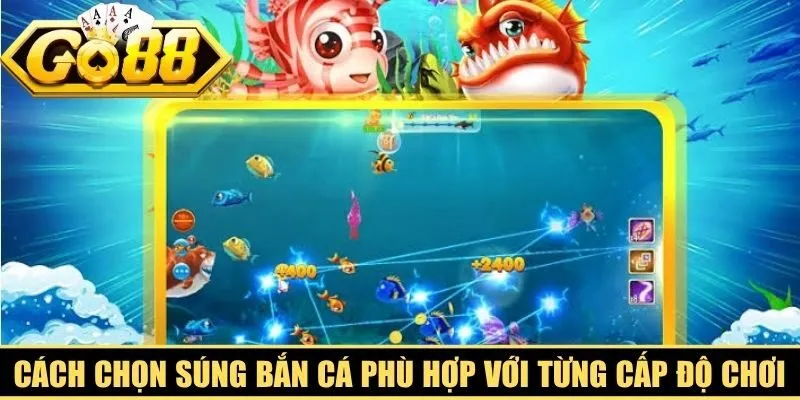 Cách chọn súng bắn cá phù hợp đúng đắn với từng cấp độ chơi