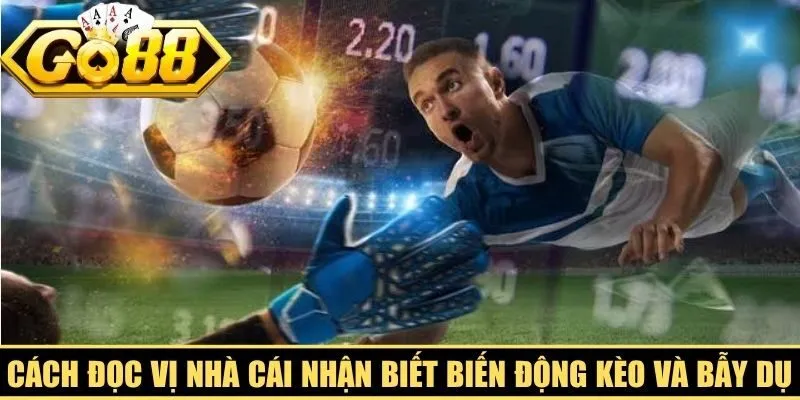 Cách đọc vị nhà cái nhận biết biến động kèo và bẫy dụ