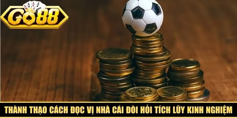 Thành thạo cách đọc vị nhà cái là hành trình đòi hỏi sự tích lũy kinh nghiệm