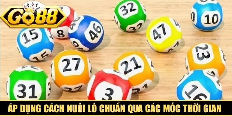 Áp dụng cách nuôi lô chuẩn qua các mốc thời gian khung phù hợp