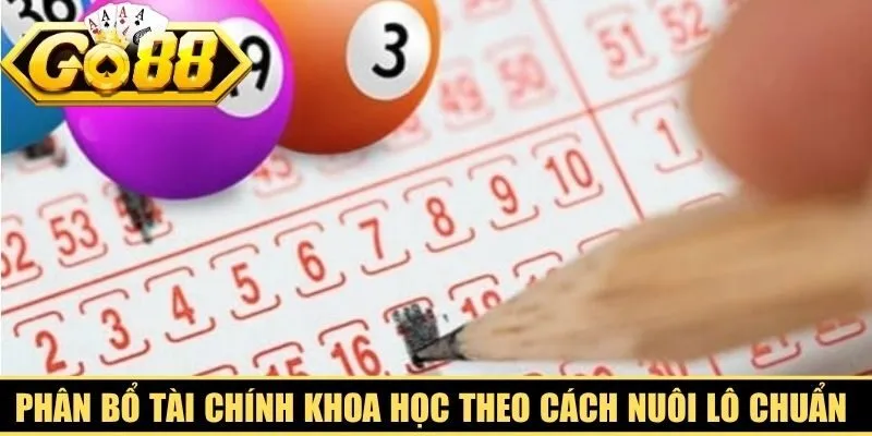 Phân bổ tài chính khoa học theo cách nuôi lô chuẩn hiện đại