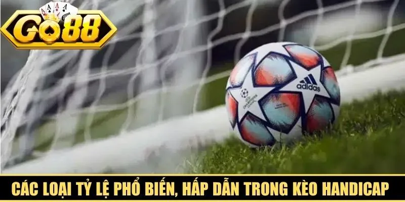 Các loại tỷ lệ phổ biến, hấp dẫn trong kèo Handicap hay gặp nhất